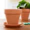Clay Saucer by Ashland™